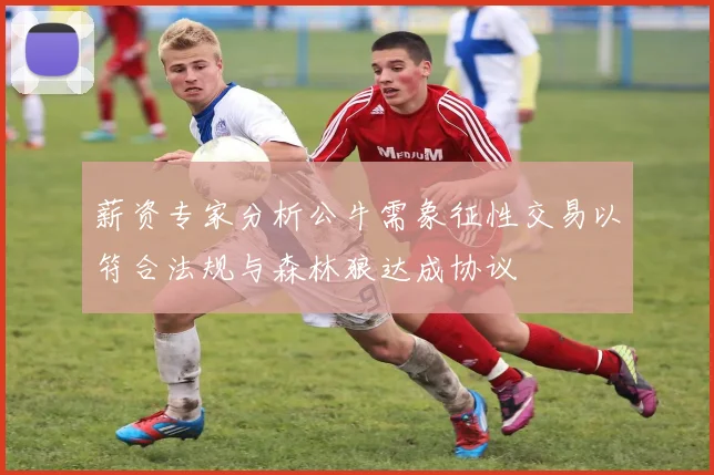 薪资专家分析公牛需象征性交易以符合法规与森林狼达成协议