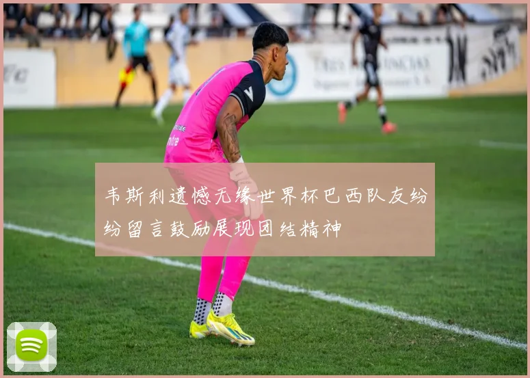 韦斯利遗憾无缘世界杯巴西队友纷纷留言鼓励展现团结精神