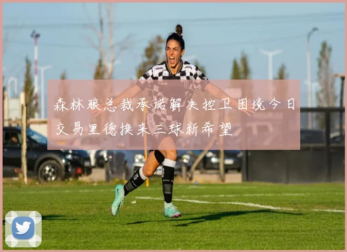 森林狼总裁承诺解决控卫困境今日交易里德换来三球新希望
