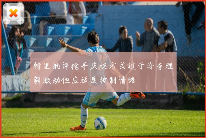 特里批评枪手庆祝方式过于浮夸理解激动但应适度控制情绪