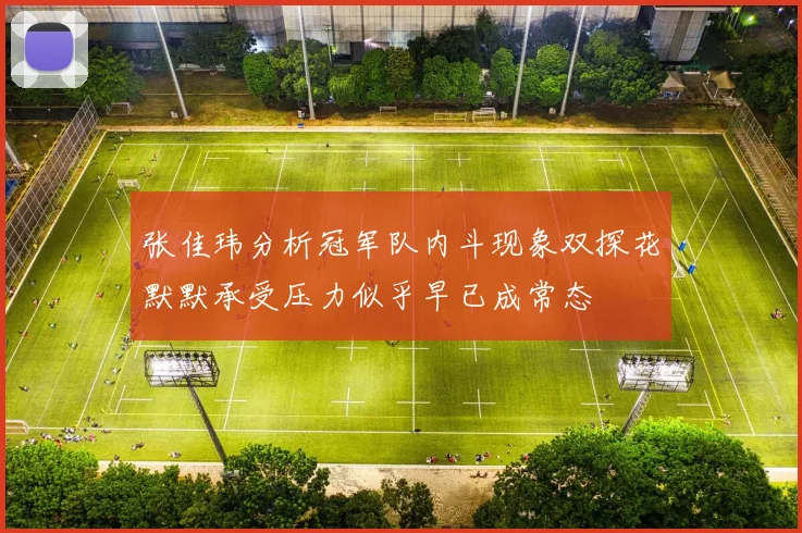 张佳玮分析冠军队内斗现象双探花默默承受压力似乎早已成常态