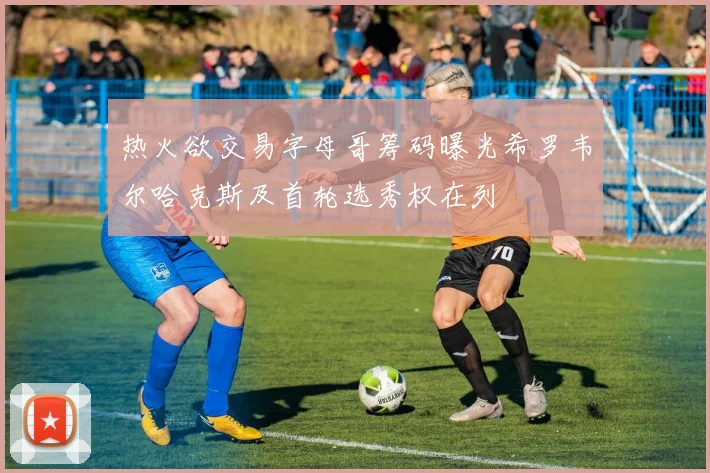 热火欲交易字母哥筹码曝光希罗韦尔哈克斯及首轮选秀权在列